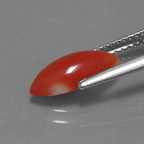 1.30カラットの天然ホワイトサーモンサンゴ（11.9×5.4 mm・マーキス）