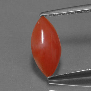 1.16カラットの天然ホワイトサーモンサンゴ（12×6 mm・マーキス）