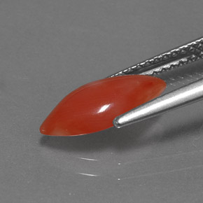 1.16カラットの天然ホワイトサーモンサンゴ（12×6 mm・マーキス）