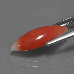 2.56カラットの天然ホワイトサーモンサンゴ（16.3×7.2 mm・マーキス）