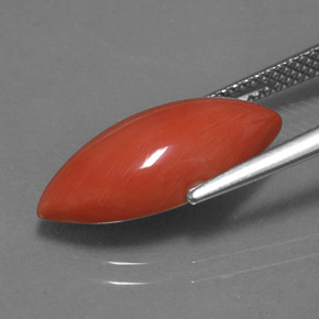 4.46カラットの天然ホワイトサーモンサンゴ、マーキーズ、オペーク