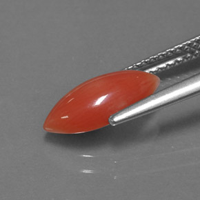 1.27カラットの天然ホワイトサーモンサンゴ、マーキーズ、オペーク