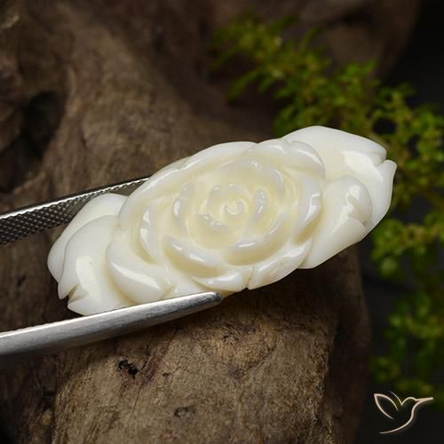 36.24カラットの天然明るい白色サンゴ、フラワーカット、オペーク