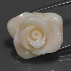 18.54カラットの天然クリームサンゴ（20.1×16.4 mm・ファンシーシェイプ）