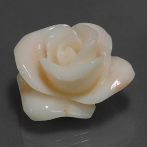 18.54カラットの天然クリームサンゴ（20.1×16.4 mm・ファンシーシェイプ）