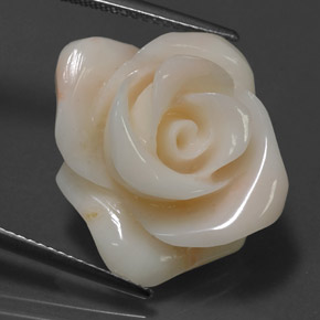 18.54カラットの天然クリームサンゴ（20.1×16.4 mm・ファンシーシェイプ）