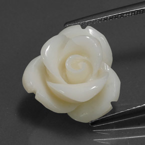 8.97カラットの天然ホワイトサンゴ（14.3×13.8 mm・ファンシーシェイプ）