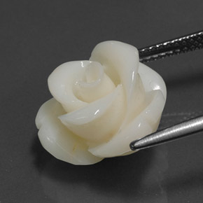 8.97カラットの天然ホワイトサンゴ（14.3×13.8 mm・ファンシーシェイプ）