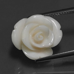 10.95カラットの天然ホワイトサンゴ（16.7×14.3 mm・ファンシーシェイプ）