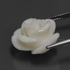 10.95カラットの天然ホワイトサンゴ（16.7×14.3 mm・ファンシーシェイプ）