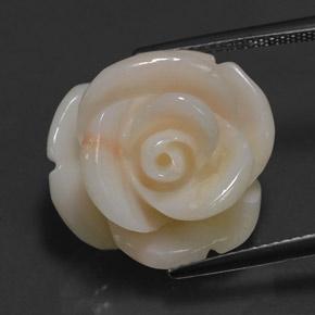 17.14カラットの天然ピンクサンゴ（17.9×17.6 mm・ファンシーシェイプ）