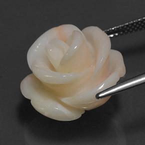 17.14カラットの天然ピンクサンゴ（17.9×17.6 mm・ファンシーシェイプ）