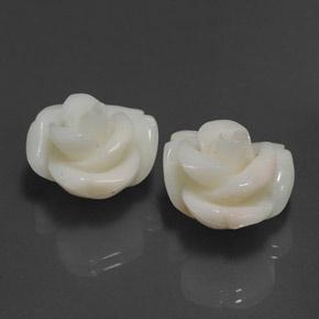 25.34カラットの天然ピンクサンゴ（16.2×14.6 mm・ファンシーシェイプ）