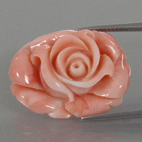 22.59カラットの天然マルチカラーサンゴ（26.4×19.7 mm・ファンシーシェイプ）
