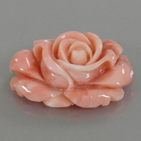 22.59カラットの天然マルチカラーサンゴ（26.4×19.7 mm・ファンシーシェイプ）