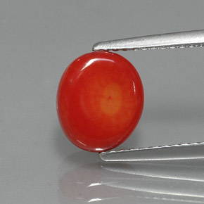 2.35カラットの天然サーモンサンゴ（9.1×7.9 mm・ファンシーシェイプ）
