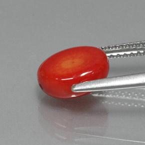 2.35カラットの天然サーモンサンゴ（9.1×7.9 mm・ファンシーシェイプ）