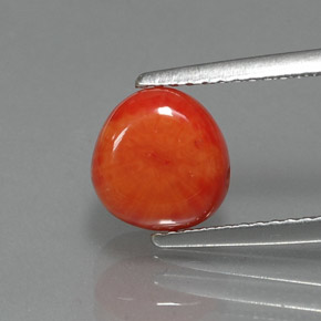 2.25カラットの天然サーモンサンゴ（7.9×7.7 mm・ファンシーシェイプ）