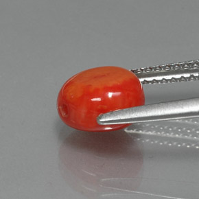 2.25カラットの天然サーモンサンゴ（7.9×7.7 mm・ファンシーシェイプ）