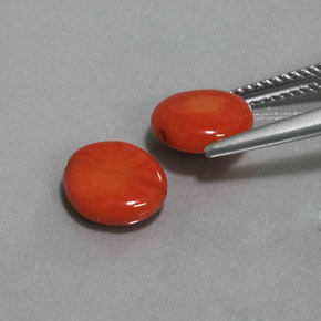 カラットの天然サーモンサンゴ（9×7.8 mm・ファンシーシェイプ）