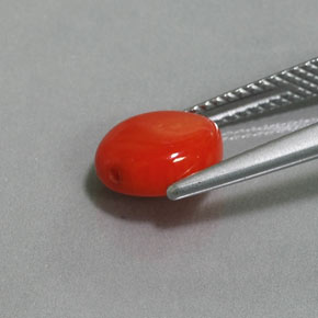 2.12カラットの天然サーモンサンゴ（8.8×7.8 mm・ファンシーシェイプ）