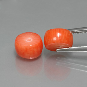 自然派の商品を探す ct サーモン サンゴ 宝石, ファンシーシェイプ, 台湾 からGemSelectで. 在庫あり、世界各国へ発送!