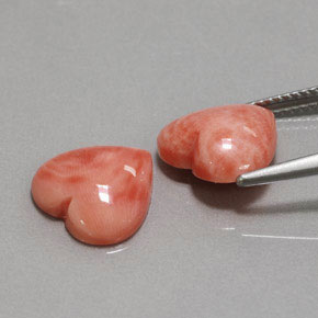 自然派の商品を探す ct サーモン サンゴ 宝石, ハート型, 台湾 からGemSelectで. 在庫あり、世界各国へ発送!