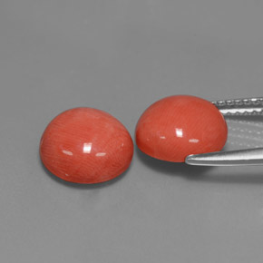 自然派の商品を探す ct サーモン サンゴ 宝石, ラウンドカット, 台湾 からGemSelectで. 在庫あり、世界各国へ発送!