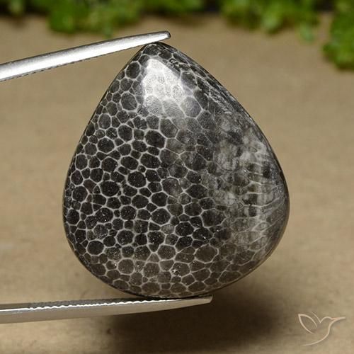 32.89ct 天然 マルチカラー サンゴ, 洋梨の形, オペーク