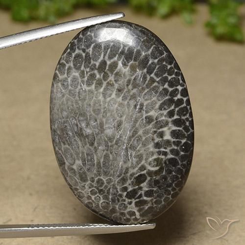 25.50ct 天然 マルチカラー サンゴ, 楕円形, オペーク