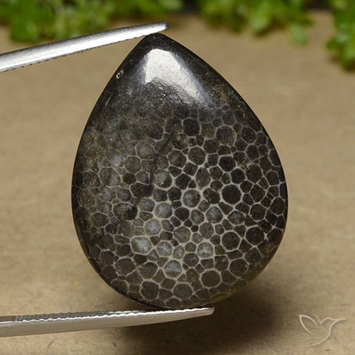 21.35カラットの天然マルチカラーサンゴ、洋梨の形、オペーク