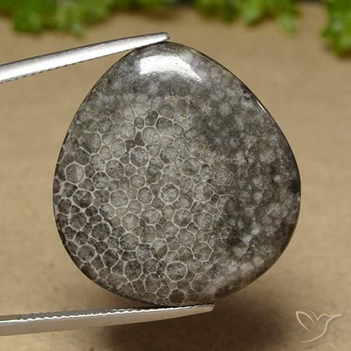 27.41ct 天然 マルチカラー サンゴ, 洋梨の形, オペーク, Photo A
