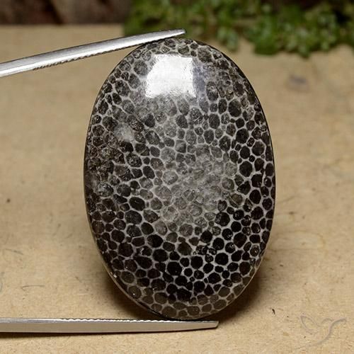 43.96ct 天然 マルチカラー サンゴ, 楕円形, オペーク