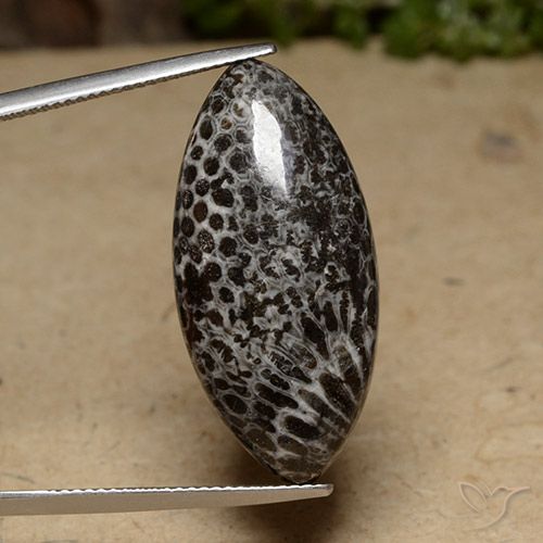 20.70ct 天然 マルチカラー サンゴ, マーキーズ, オペーク