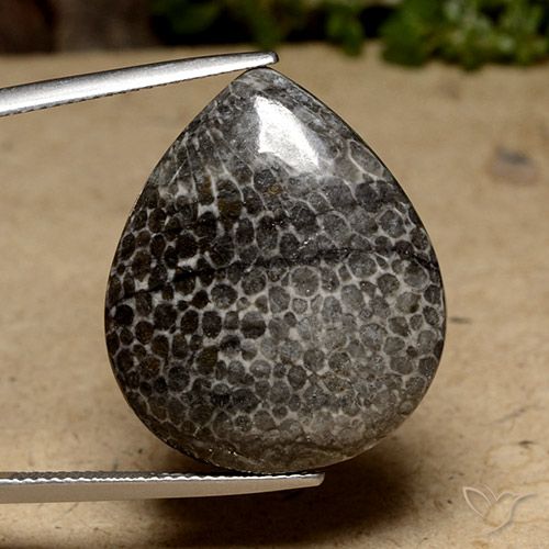 23.79ct 天然 マルチカラー サンゴ, 洋梨の形, オペーク