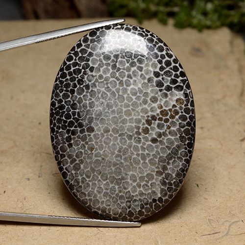 56.91ct 天然 マルチカラー サンゴ, 楕円形, オペーク, Photo A
