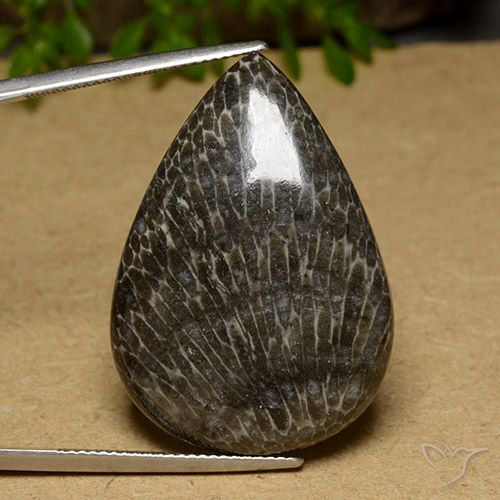 34.89ct 天然 マルチカラー サンゴ, 洋梨の形, オペーク