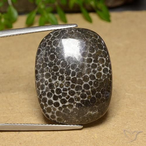 28.32ct 天然 マルチカラー サンゴ, クッション, オペーク