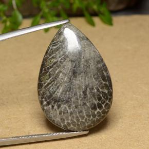 20.56カラットの天然マルチカラーサンゴ、洋梨の形、オペーク