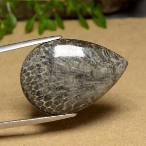 20.56カラットの天然マルチカラーサンゴ、洋梨の形、オペーク