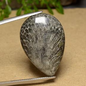 20.56カラットの天然マルチカラーサンゴ、洋梨の形、オペーク