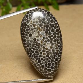 26.37カラットの天然マルチカラーサンゴ、洋梨の形、オペーク