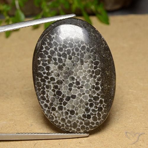 31.69ct 天然 マルチカラー サンゴ, 楕円形, オペーク, Photo A
