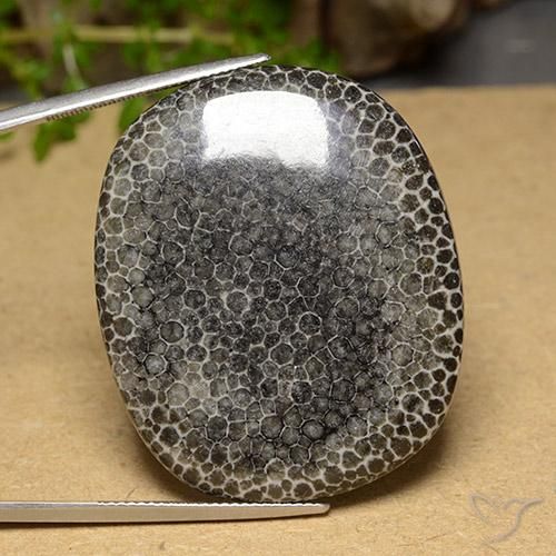 63.14ct 天然 マルチカラー サンゴ, クッション, オペーク