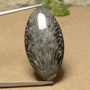 18.93カラットの天然マルチカラーサンゴ（31.6×16.2 mm・マーキス）