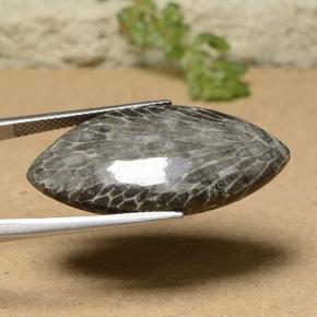 18.93カラットの天然マルチカラーサンゴ（31.6×16.2 mm・マーキス）