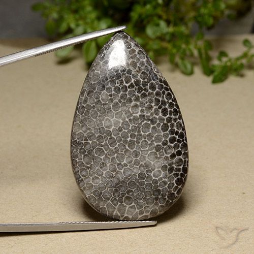 42.17ct 天然 マルチカラー サンゴ, 洋梨の形, オペーク