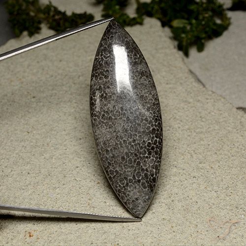 67.17ct 天然 マルチカラー サンゴ, マーキーズ, オペーク