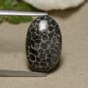2.44カラットの天然グレーサンゴ（12.6×8.2 mm・オーバルカット）