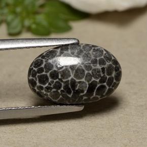 2.44カラットの天然グレーサンゴ（12.6×8.2 mm・オーバルカット）